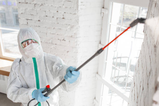 Best Real Estate Mold Inspection  in Cedar Glen Lakes, NJ