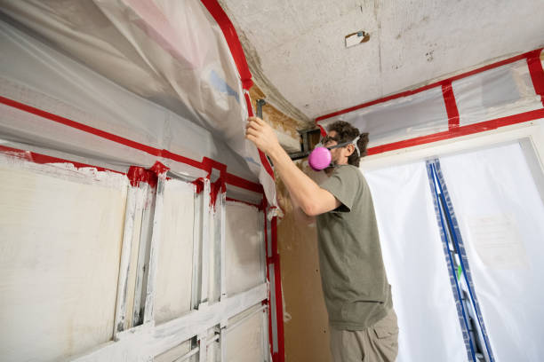 Best HVAC Mold Inspection and Cleaning  in Cedar Glen Lakes, NJ